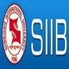 Symbiosis Institute of International Business (SIIB)